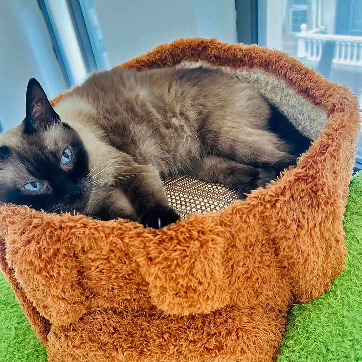 Xiamiao Magic Forest Cat Tree Tower, 65 Inches Tall