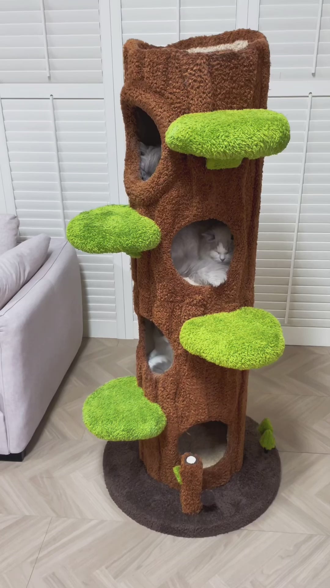 Xiamiao Magic Forest Cat Tree Tower, 65 Inches Tall